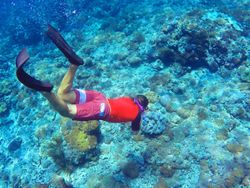 snorkeling Waianae HI