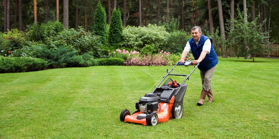 Must-Have Lawn Care Equipment for First-Time Homeowners