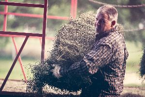 farm equipment