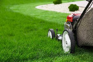 lawn care equipment