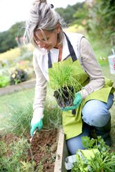 Live Oak, FL gardening tools