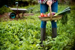 agricultural products