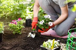 gardening tools