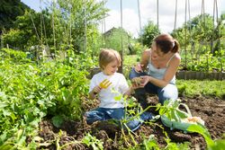 gardening tools