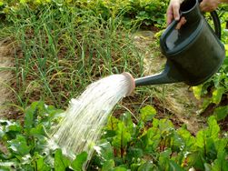 gardening tools