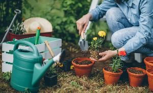 gardening tools