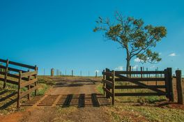 cattle-guard-westplains-mo