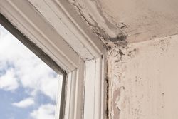 window rot repairs