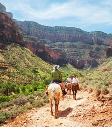 Grand Canyon Tours