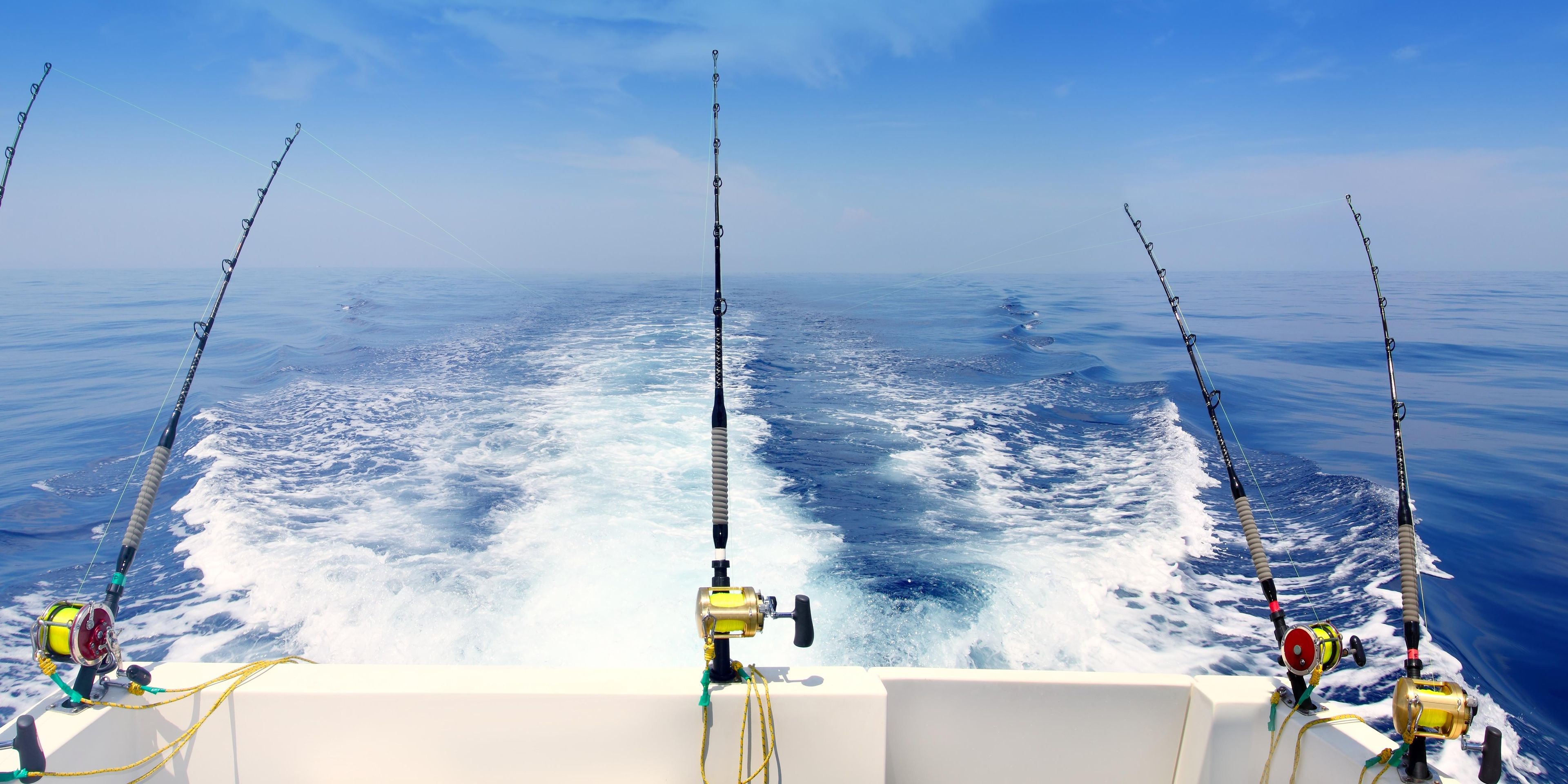 sea fishing trips north west