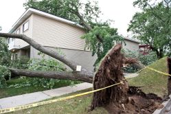 homeowners insurance demorest, GA