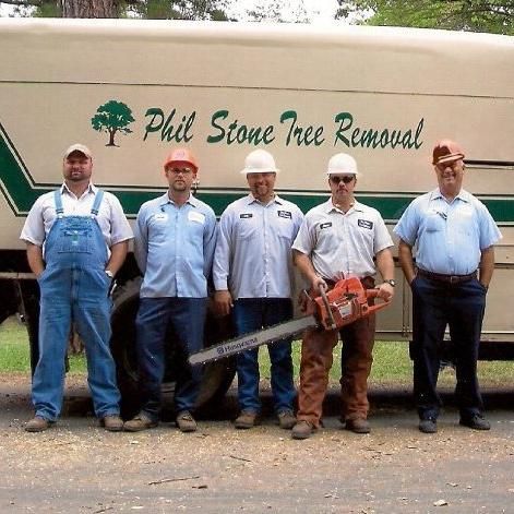 Tree Service Louisburg NC - Ashland Tree Service