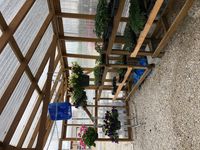 Bolivar Farmers Exchange Greenhouse