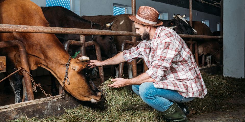 3 Stretches That Benefit Agricultural Workers - Farrell Chiropractic Clinic