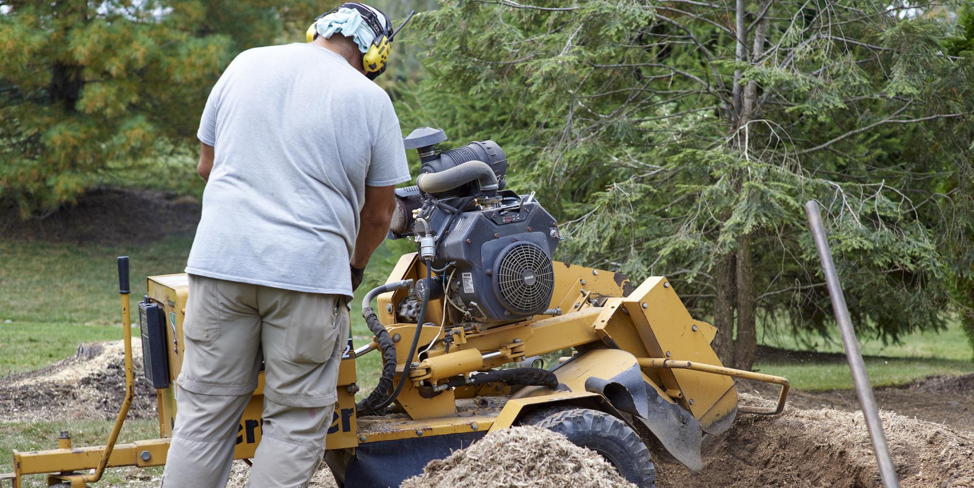 equipment CA tree stump removal hire, Windsor