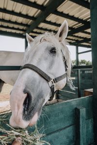 pole barn kits