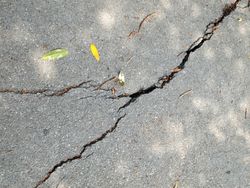 asphalt-repairs