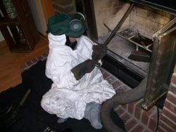 Chimney inspection