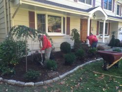 mulching services