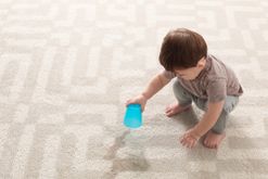 carpet cleaning Columbia, MO