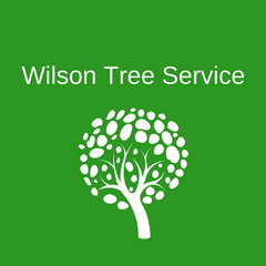 Wilson Tree Service in Norman Park, GA | Connect2Local