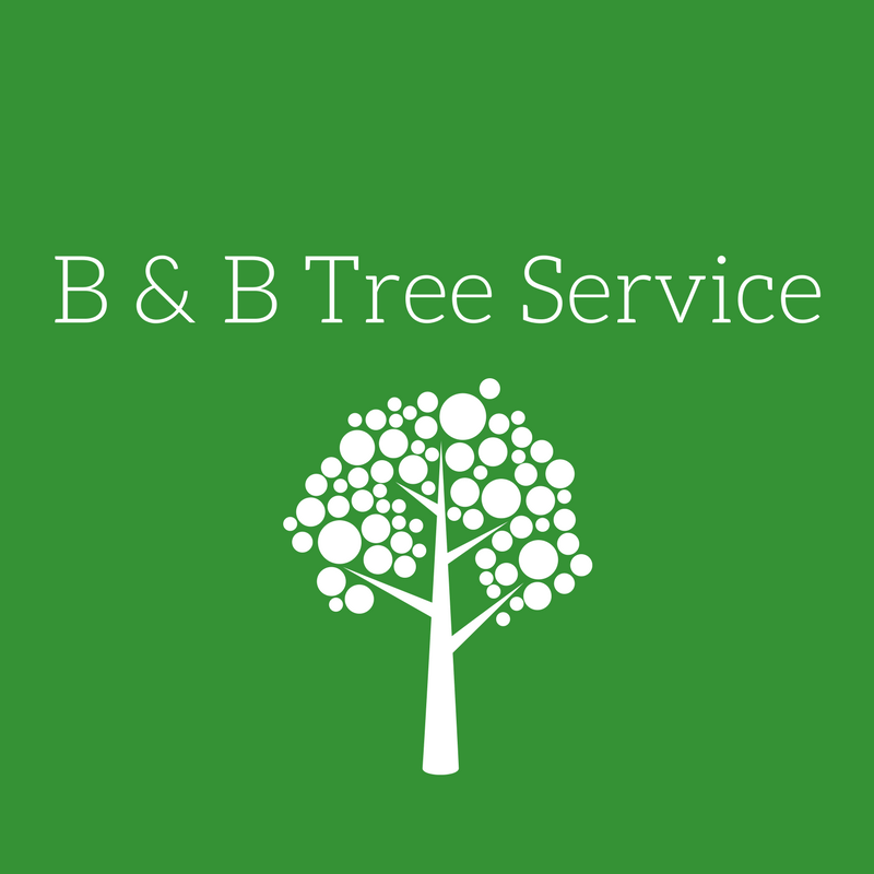 B & B Tree Service In Cincinnati, OH | Connect2Local