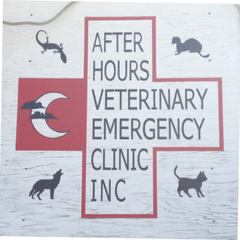 after hours vet