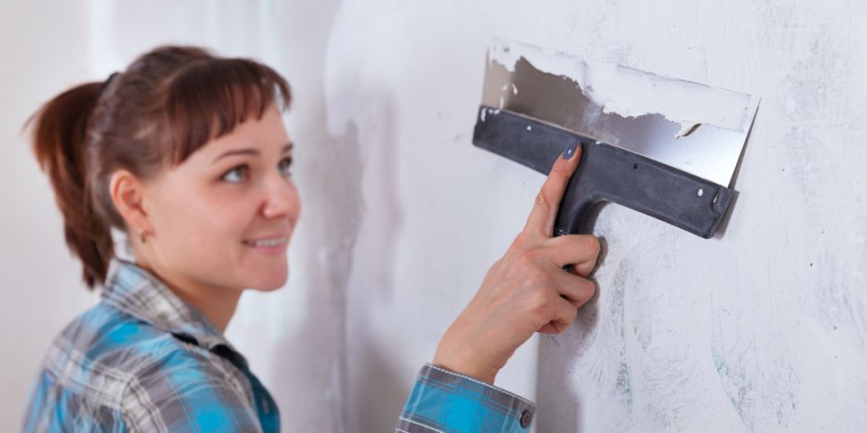 4 Pests That Can Ruin Drywall - BRS Custom Painting