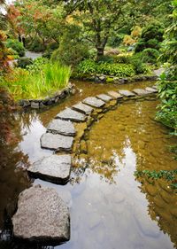 japanese garden stones