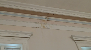 plaster repair