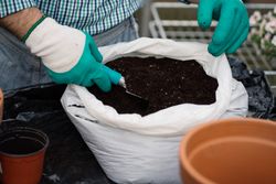 Plant Fertilizer