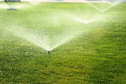 3 Turfgrass Management Tips - Nelson Plant Food