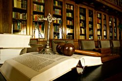 civil and appellate litigation