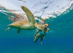 snorkeling