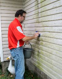 siding contractors