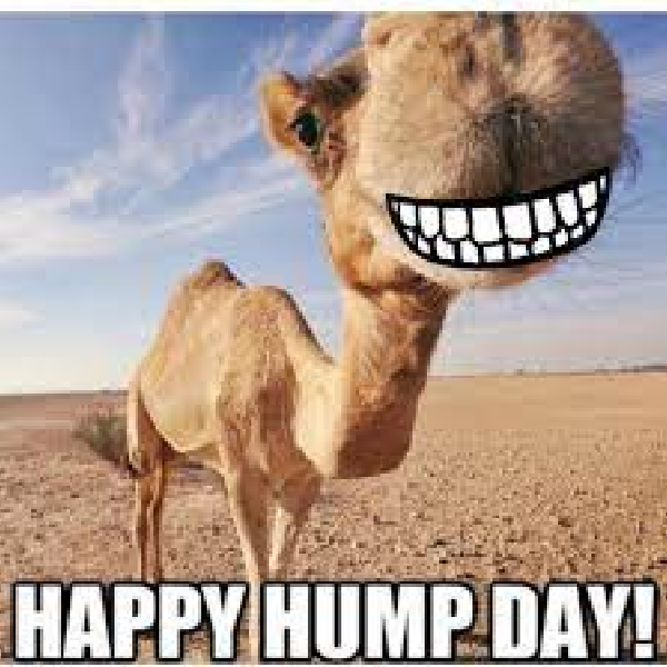 Go Dental - HAPPY HUMP DAY! ...mid-week really is something to SMILE about.  Make the most of your private health insurance this calendar year by  booking your checkup appointment with Dr. Aman,