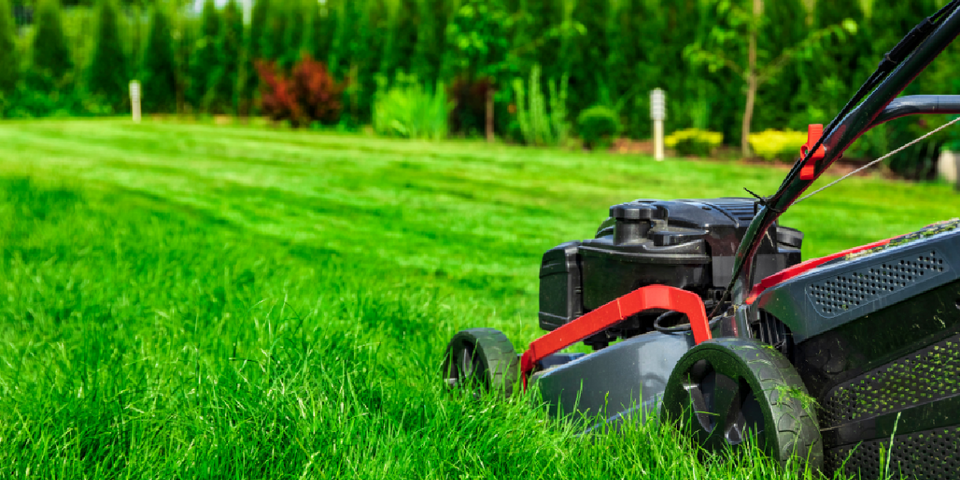 7 Signs You Need a New Lawn Mower - Lawn Care Equipment Company