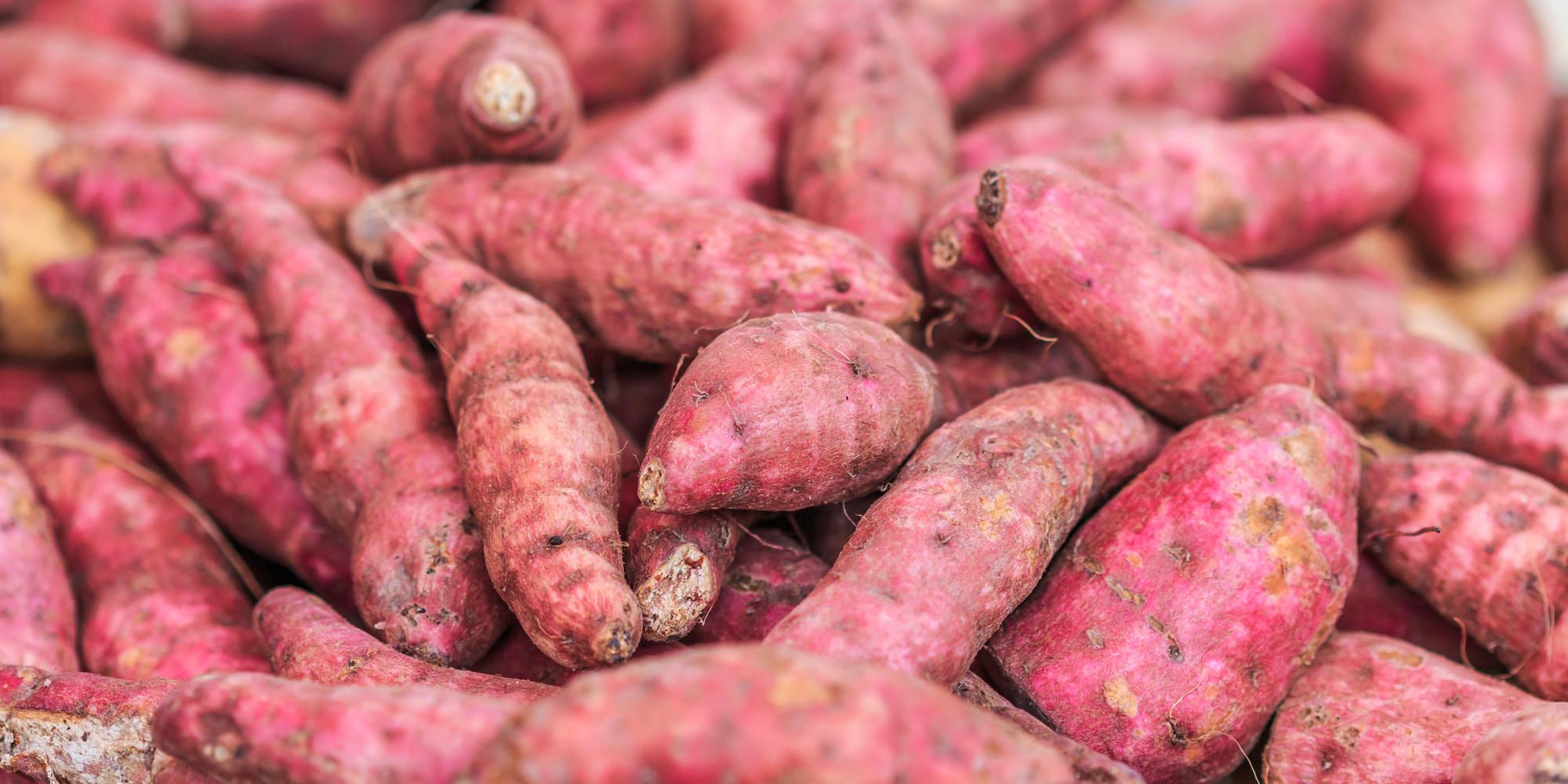 instant-pot-okinawan-sweet-potatoes-two-ways-nut-free-wok