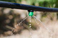 Drip Irrigation