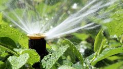 smart irrigation