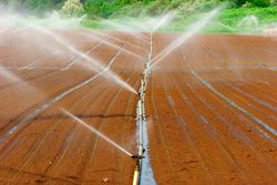 irrigation system