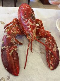 Aiea lobster