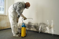 Martinsburg-West-Virginia-professional-mold-removal
