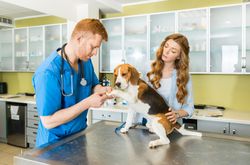 veterinarian clinic