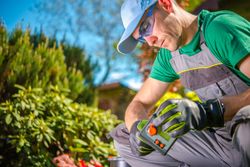 sprinkler system installation