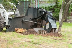 Recent Tree Stump Removal? Here's How to Repair Your Yard | Liscombe Tree Service in St. Charles, MO