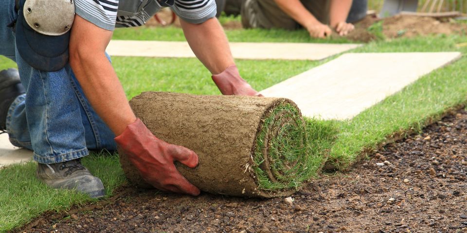 how-often-should-you-water-new-sod-jake-s-lawn-care