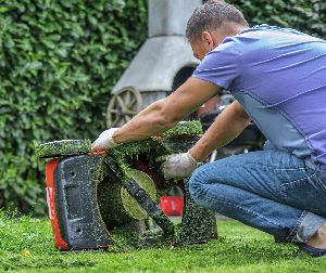 lawn care