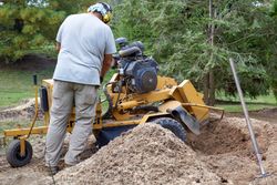 stump grinding