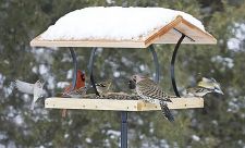 fly-thru platform bird feeder with roof with snow on it